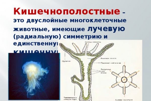 Как найти официальный сайт кракен