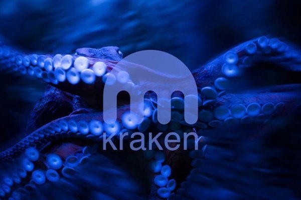 Kraken link