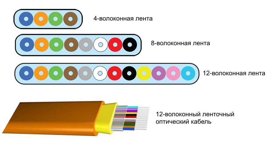 Полезные сайты тор